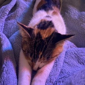 Meet your Posher, Peyton